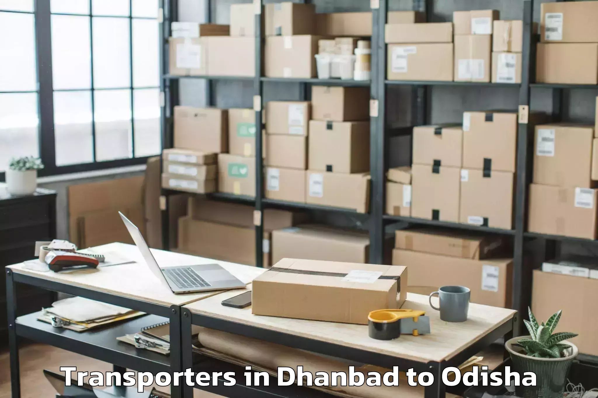 Book Dhanbad to Phiringia Transporters Online